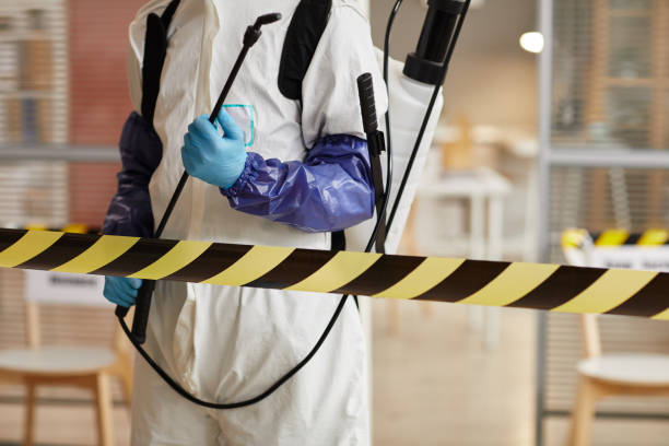 Professional Sewage Cleanup technician working in South Lebanon, OH
